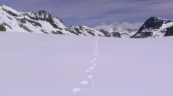 stano-faban-ski-traverse-3